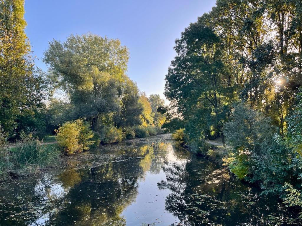 Nature In The City Lower Storey Bestern Szeged Buitenkant foto